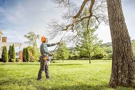 How Our Tree Care Process Works  in  Baker City, OR
