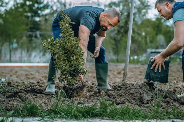 Best Grass Overseeding  in Baker City, OR